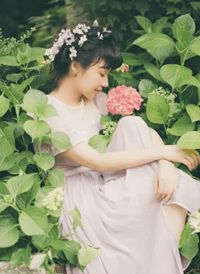 白栀白洛凡的小说归来后，惨情真千金反手掀了原剧情小说阅读