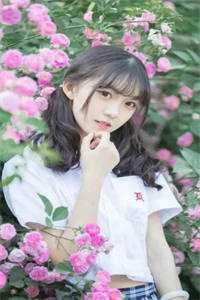 叶辰(冲锋陷阵叶辰舒婉清结局 番外)全章节在线阅读_(冲锋陷阵叶辰舒婉清结局 番外)完结版免费阅读