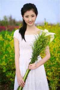 潇潇雨声迟小说结局