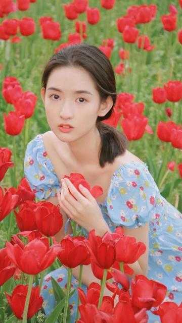 陆沉林书意微风轻拂又见你小说全文免费阅读