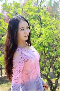 阳光陷阱：天灾玩完也疯了