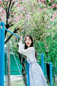 春意遥遥婉婉沈婉