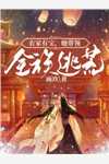 寻寻觅觅，终不见旧时月热门小说陆长风池鱼