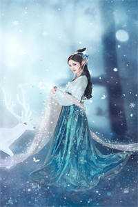 迷雾之森完结版小说唐修唐婉