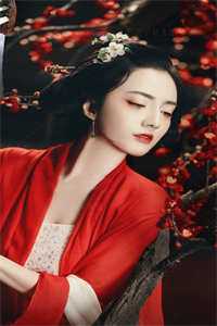 苏明珠苏明野写的小说天王盖地虎，宝塔镇河妖全文阅读