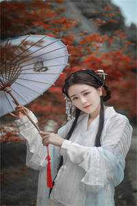 云挽景宣帝带崽而归，我的夫君是陛下小说