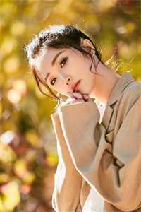 犹为离人照落花小说