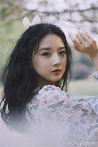 只消闲处过平生小说林清雾傅霆舟