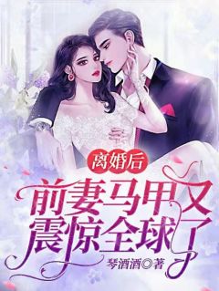 晏无澜林听雨的小说爱似薄雾留不住免费阅读