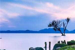 月下清秋树上稍苏景云