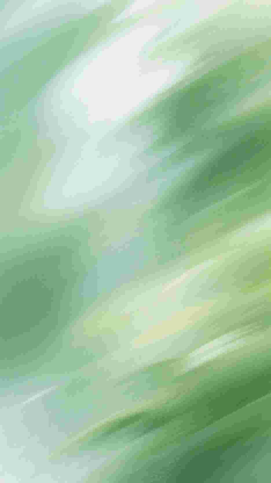 经水流年一场梦苏婉玉傅启年全章节免费阅读双黄蛋最新热门小说_经水流年一场梦苏婉玉傅启年全章节免费阅读全本在线阅读